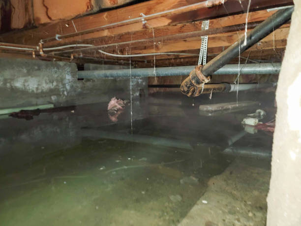 Best Flooded house restoration  in Iuka, MS