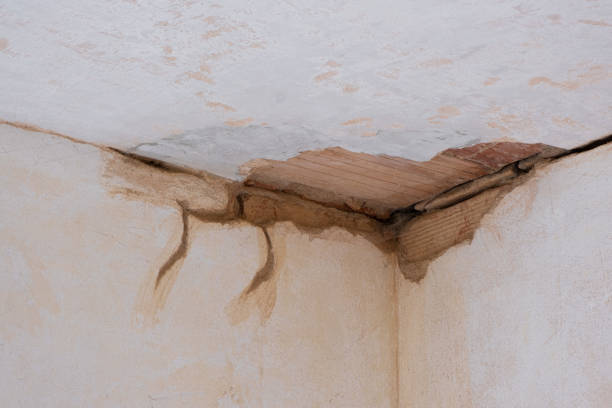 Iuka, MS Water damage restoration Company