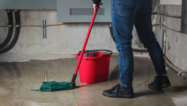 Best Water damage restoration cost  in Iuka, MS