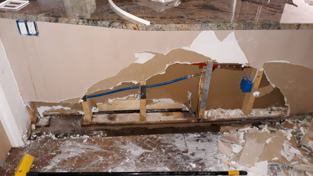 Best Sewage cleanup and water damage restoration  in Iuka, MS