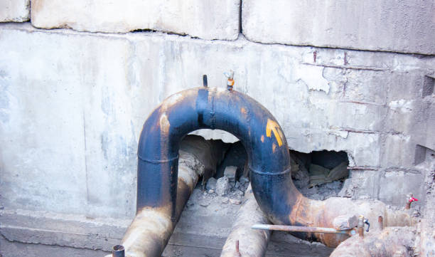Best Water damage cleanup near me  in Iuka, MS