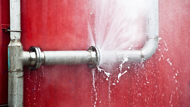 Best Mold removal after water damage  in Iuka, MS
