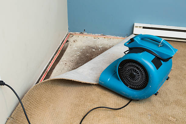 Best Fire Damage Restoration  in Iuka, MS
